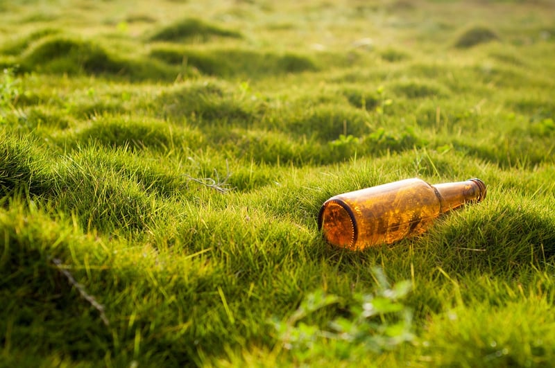 Plastic Bottle Sculptures